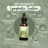 Lymphatic Support