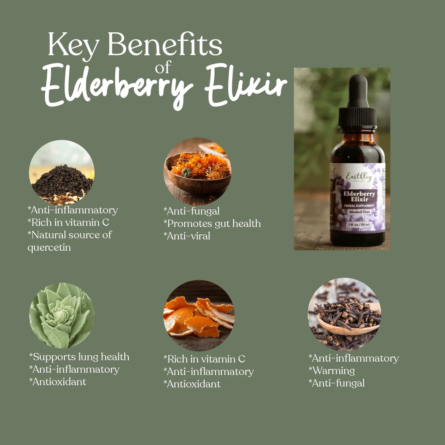 Elderberry Elixir